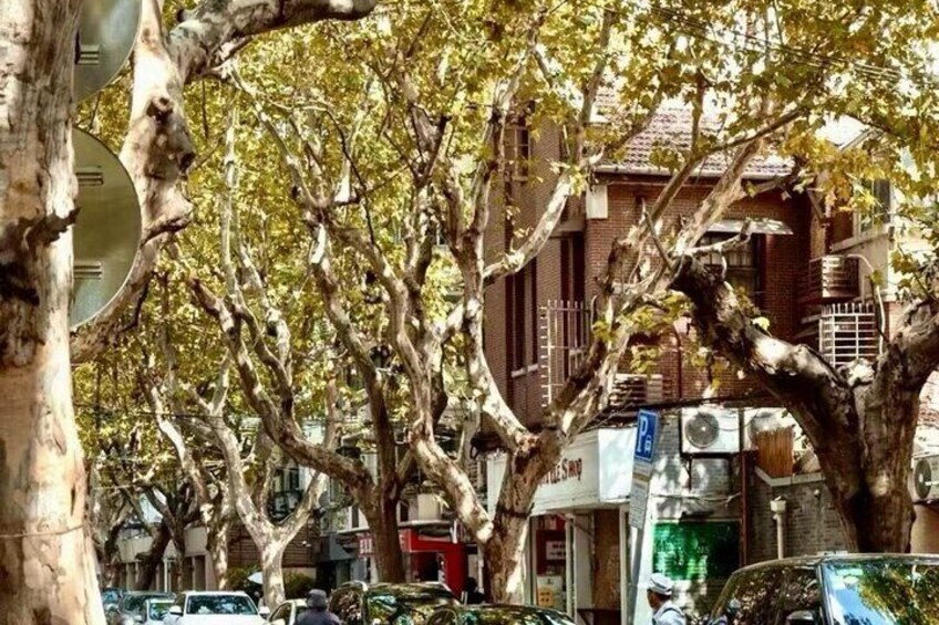 Shaoxing Road