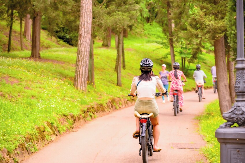 Small Group Guided Tour Of Florence & p.le Michelangelo By E-bike & tasting