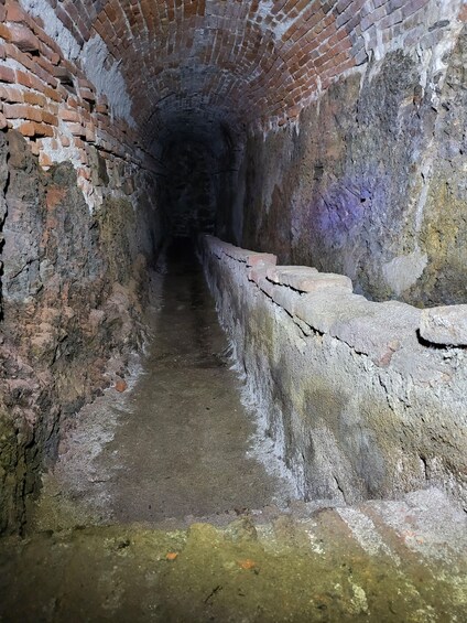 Picture 2 for Activity Savona: Guided Tour of the Underground of the Priamàr