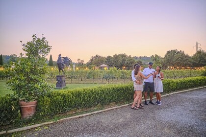 Semi-privé Chianti ervaring: Wijnproeverijen en diner in de wijngaard
