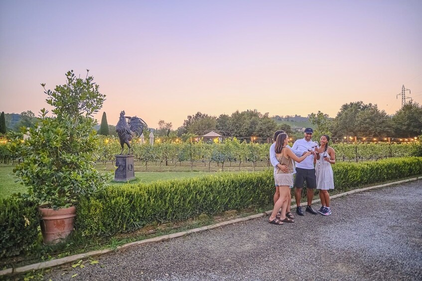 Semi-private Chianti Experience: Wine Tastings And Dinner In The Vineyard