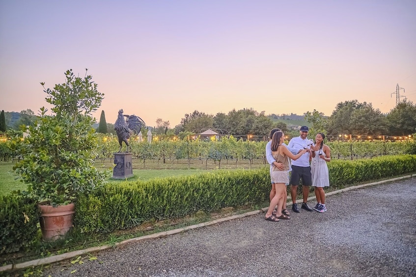 Semi-private Chianti Experience: Wine Tastings And Dinner In The Vineyard