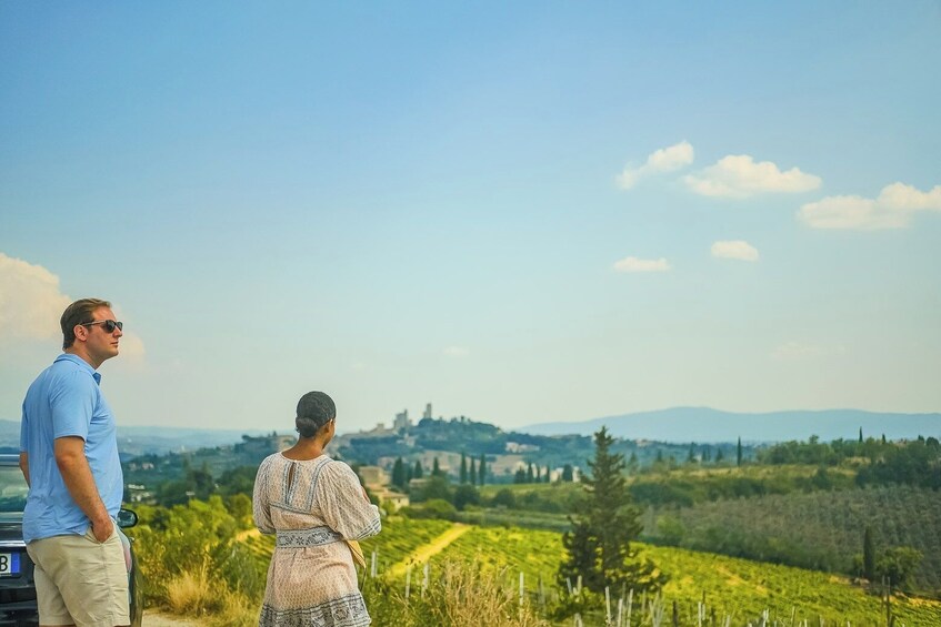 Semi-private Chianti Experience: Wine Tastings And Dinner In The Vineyard