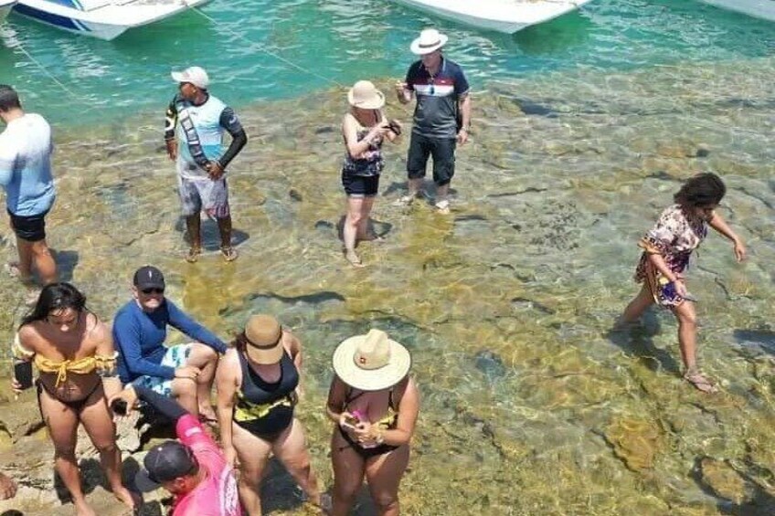 Discovering the Natural Aquarium