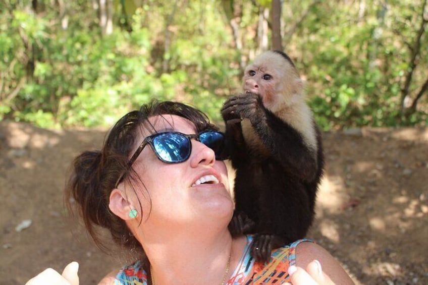 Monkey Tour from Playa Jaco