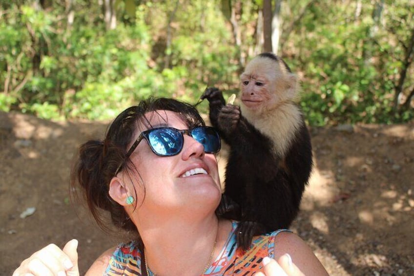 Monkey Tour from Playa Jaco