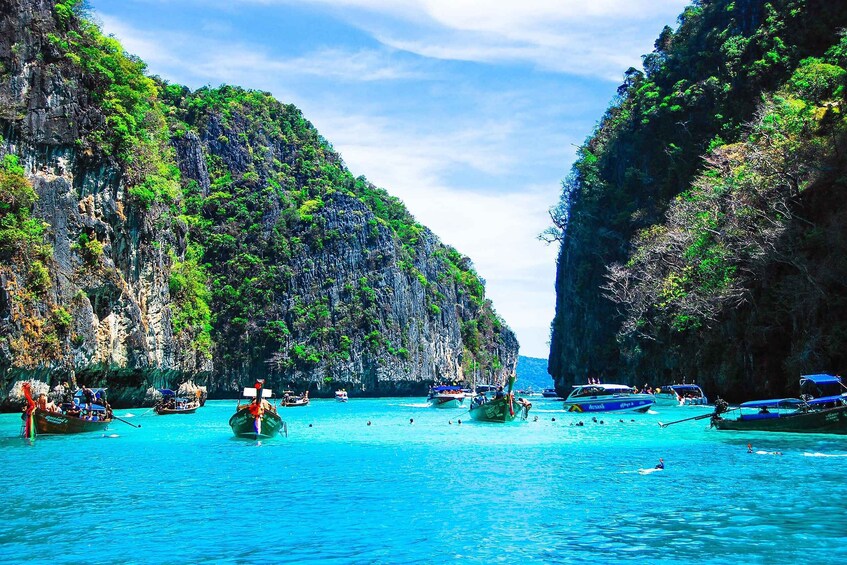 Picture 6 for Activity Phi Phi and Bamboo Islands Speedboat Tour with Fins