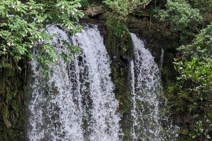 Full-Day Tour to Antsiranana Amber Mountain