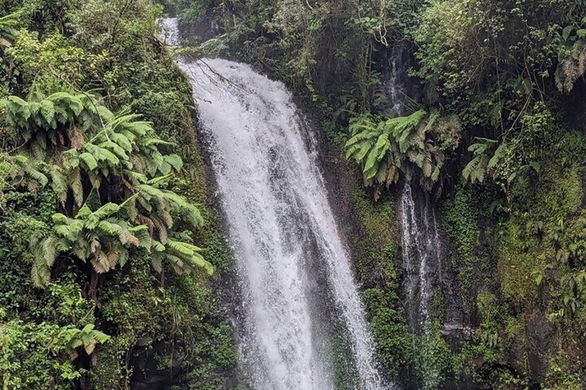 Full-Day Tour to Antsiranana Amber Mountain