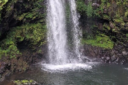 Full-Day Tour to Antsiranana Amber Mountain
