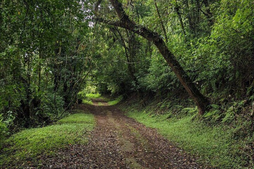 Full-Day Tour to Antsiranana Amber Mountain