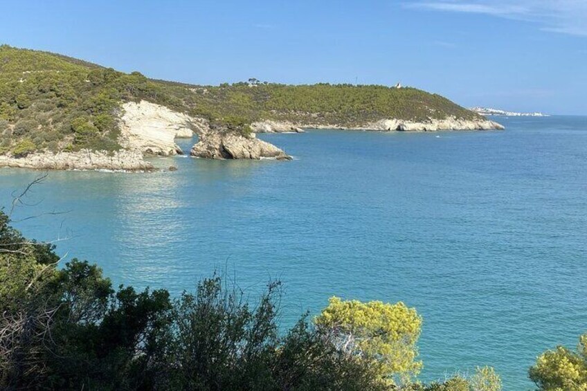Guided Boat Tour Costa Del Gargano Caves Bays Tradition