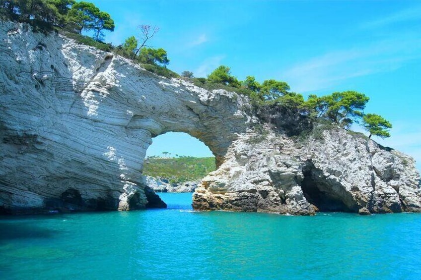 Guided Boat Tour Costa Del Gargano Caves Bays Tradition
