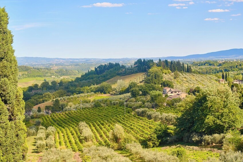 Small Group Tour: Siena, San Gimignano And Chianti Region + Wine Tasting