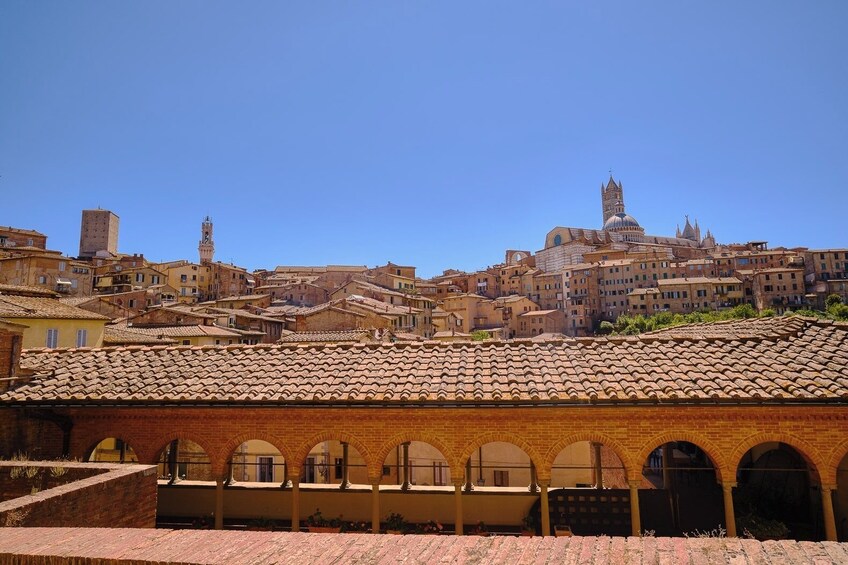 Small Group Tour: Siena, San Gimignano And Chianti Region + Wine Tasting