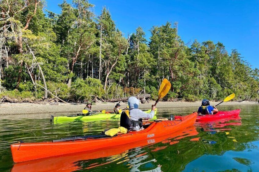 Guided Kayak Tour To Hope Island State Park