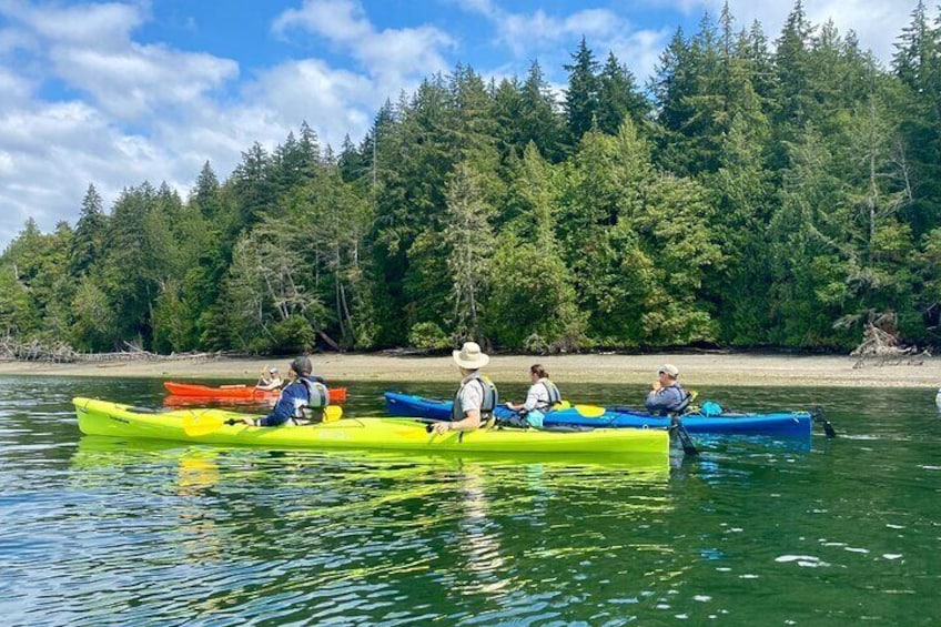 Guided Kayak Tour To Hope Island State Park