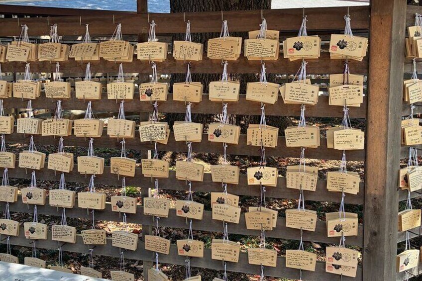Meiji Jingu, Harajuku Tradition Meets Kawaii Culture