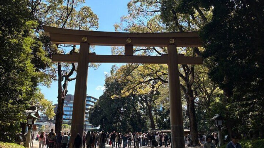 Meiji Jingu, Harajuku Tradition Meets Kawaii Culture