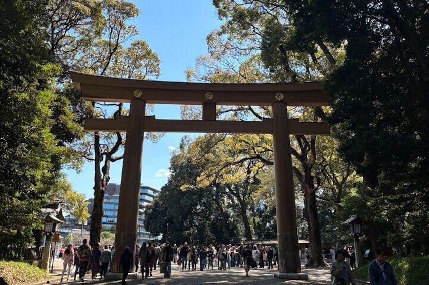 Meiji Jingu, Harajuku Tradition Meets Kawaii Culture