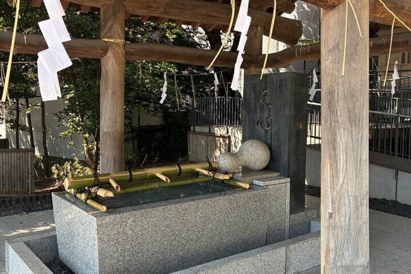 Meiji Jingu, Harajuku Tradition Meets Kawaii Culture