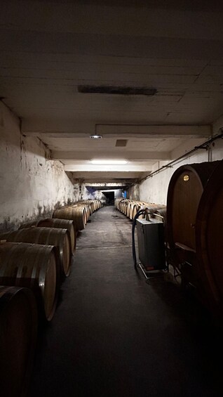 Picture 2 for Activity Visit the winery and taste the estate's wines