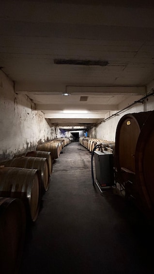 Picture 2 for Activity Visit the winery and taste the estate's wines