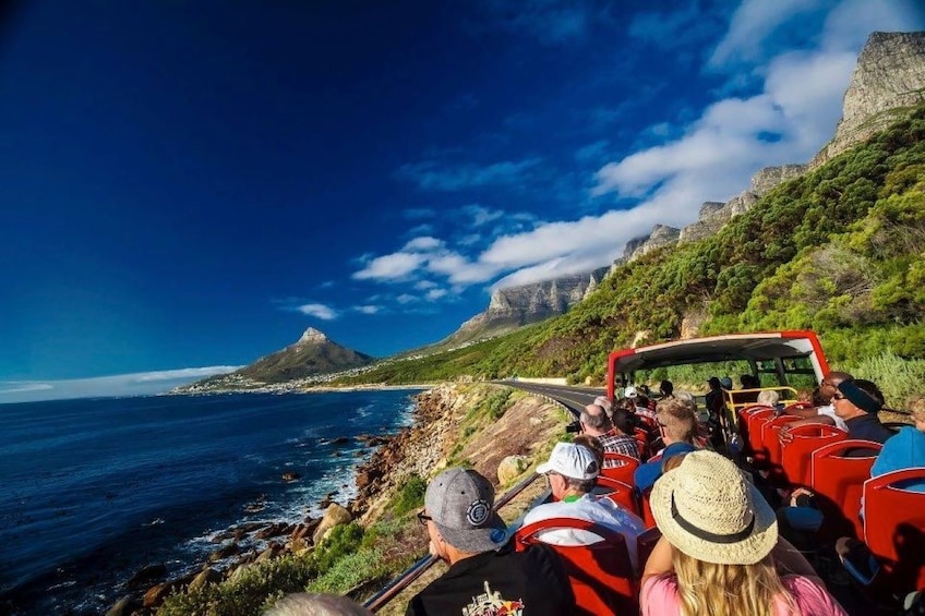City Sightseeing Cape Town Hop-On Hop-Off Bus Tour + 2 Walking Tours
