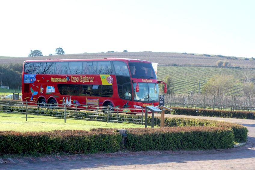 City Sightseeing Cape Town Hop-On Hop-Off Bus Tour + 2 Walking Tours