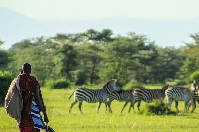 3 Day Private Mara Migration Safari Experience