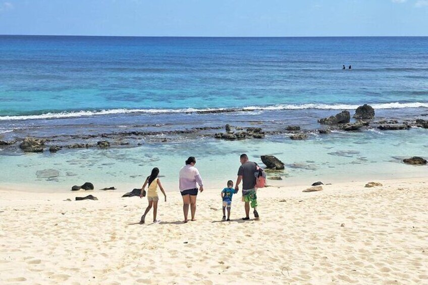 Amazing Private Tour in Cozumel with Snorkeling and Lunch 