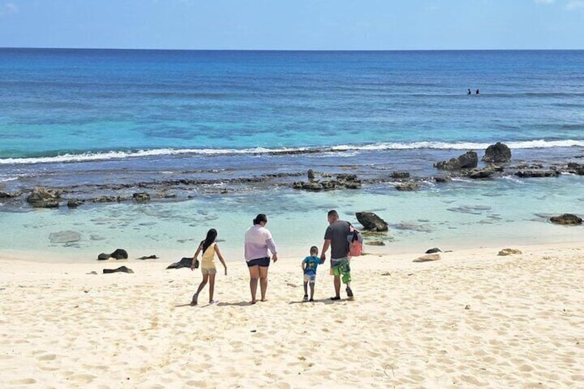 Amazing Private Tour in Cozumel with Snorkeling and Lunch