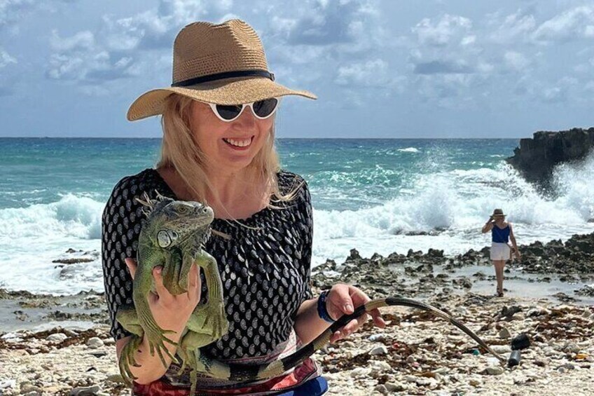 Amazing Private Tour in Cozumel with Snorkeling and Lunch 