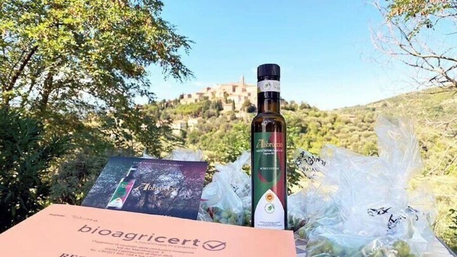 They sit: Guided tour of the Olive Grove with Tasting