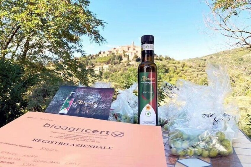 They sit: Guided tour of the Olive Grove with Tasting 