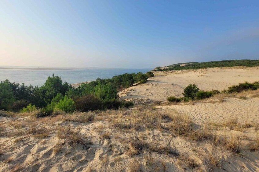 Private Tour in Dune Du Pilat and Oyster Village