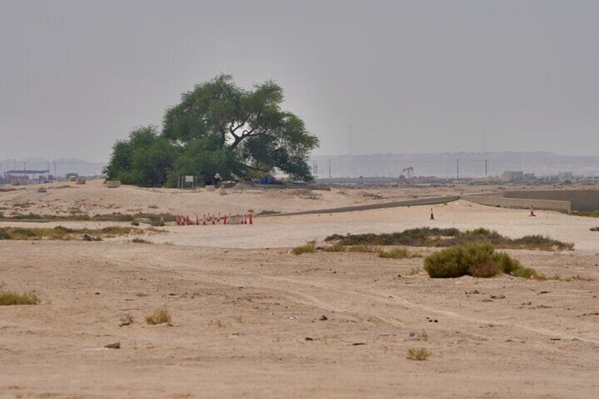 Manama Day from South to North to Discover Bahrain