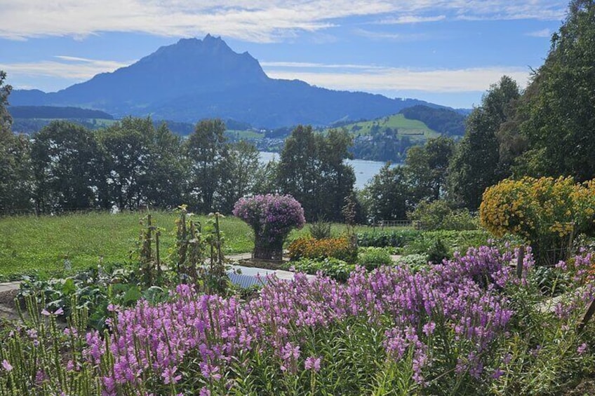Beverly Hills of Lucerne Tour
