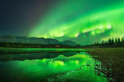 Private Banff and Canmore Stargazing Tour with VIP Pickup