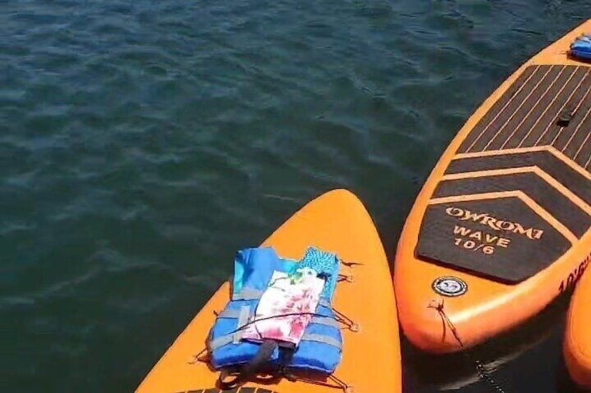 Picnic Paddleboard Rentals - Oxnard Ca
