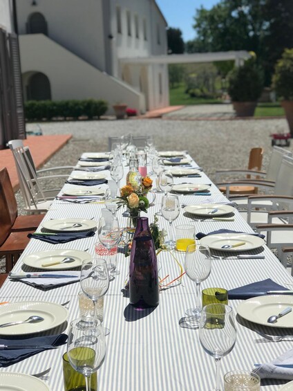 Picture 4 for Activity From Florence: Cooking Experience at hilltop farm in Tuscany