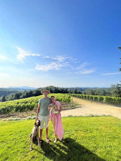 Picture 4 for Activity From Florence: Cooking Experience at hilltop farm in Tuscany