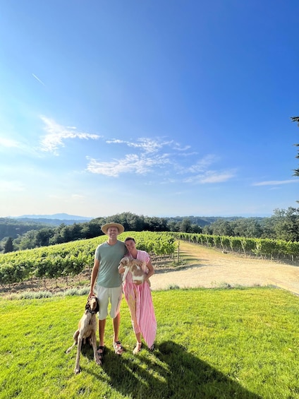 Picture 4 for Activity From Florence: Cooking Experience at hilltop farm in Tuscany