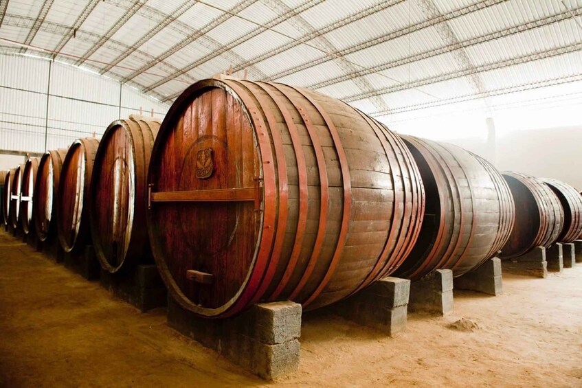 Picture 1 for Activity From Huacachina/Ica: Wine and Pisco Vineyards | Tasting Tour