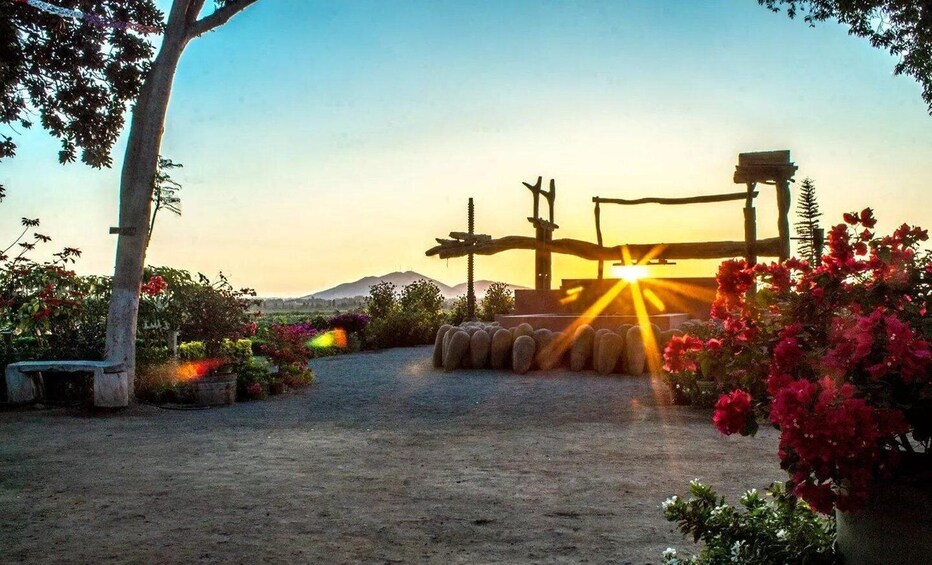 Picture 4 for Activity From Huacachina/Ica: Wine and Pisco Vineyards | Tasting Tour