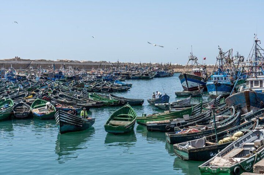 Fish & Sardines Cooking Workshop in Safi with Shopping Souk