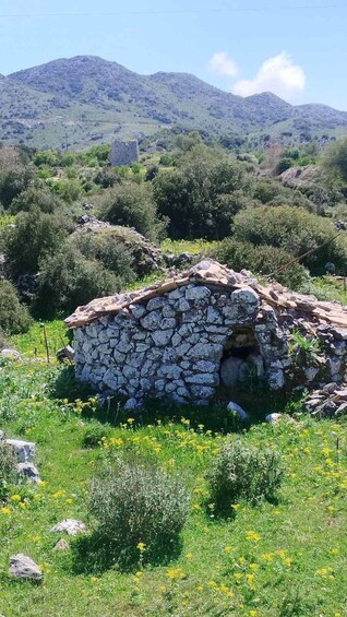 Picture 14 for Activity Lefkada : Hike to Eglouvis Fields of Flavor
