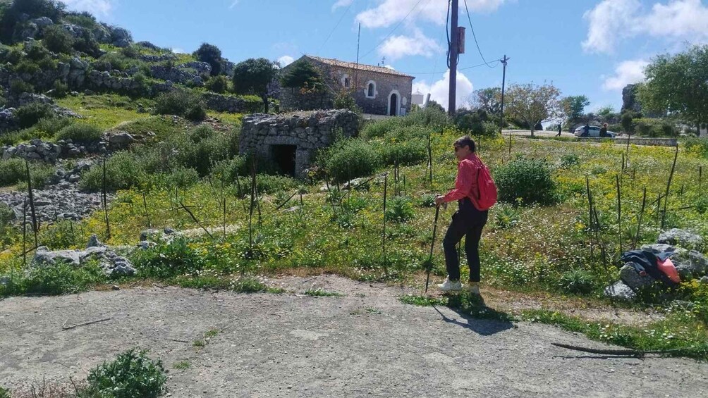 Picture 12 for Activity Lefkada : Hike to Eglouvis Fields of Flavor