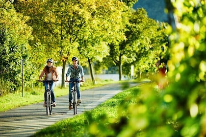 Bicycle Picnic Boat Tour from to Zell Private Tour