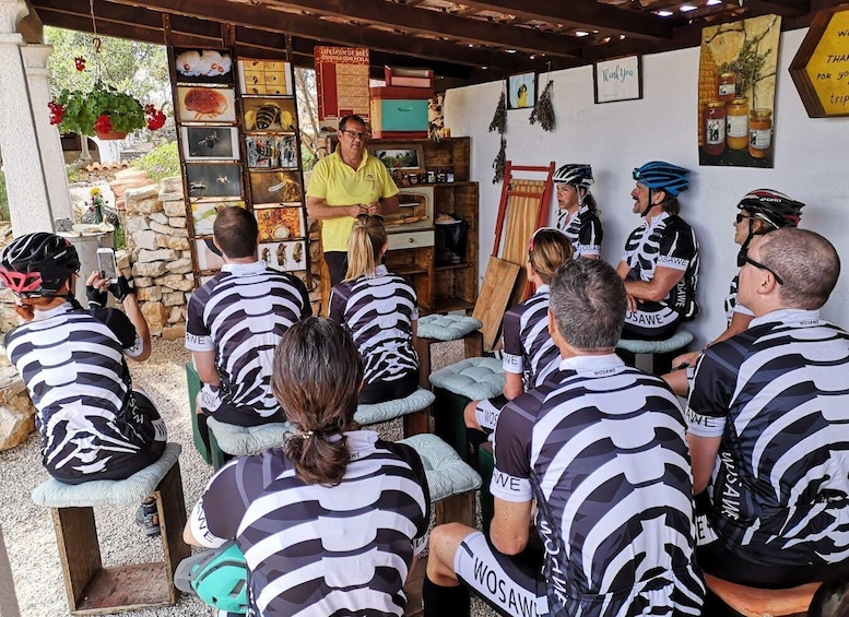 Picture 8 for Activity Rogač: Solta Island Wine, Honey, and Olive Oil Tasting Tour